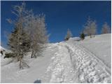 Planina Zajavornik - Debela peč